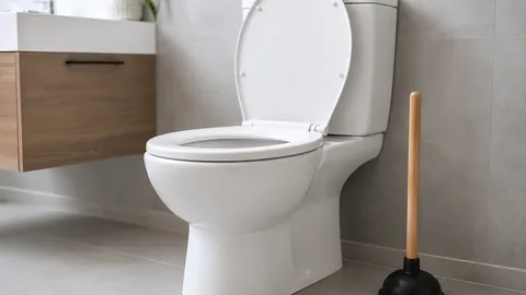 Vaso sanitário entupido: o que fazer antes de chamar o técnico